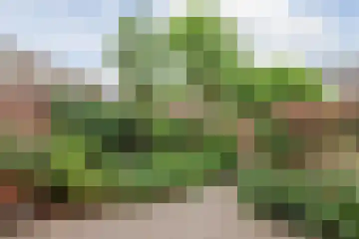 In de Riet 39 Horst thumbnail 27