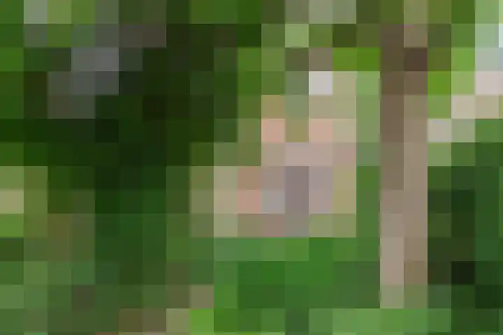 In de Riet 39 Horst thumbnail 29