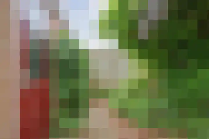 In de Riet 39 Horst thumbnail 30