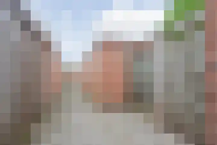 In de Riet 39 Horst thumbnail 32