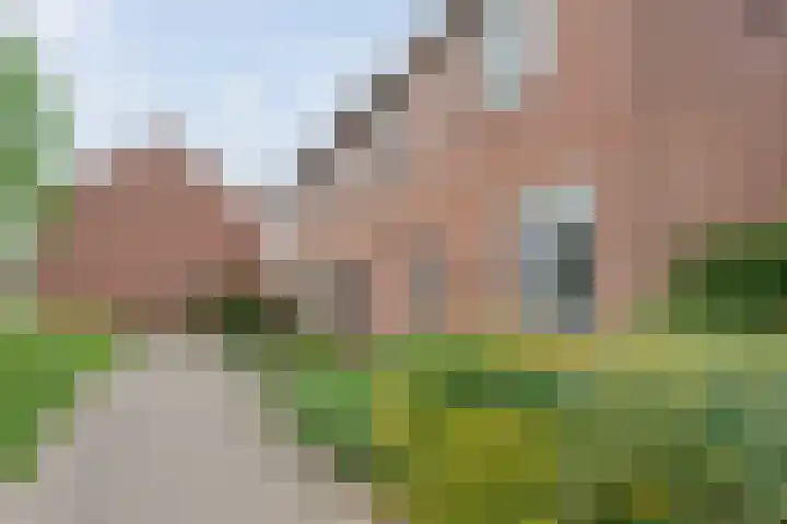 In de Riet 39 Horst thumbnail 34