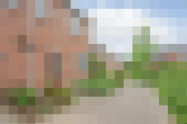 In de Riet 39 Horst thumbnail 7