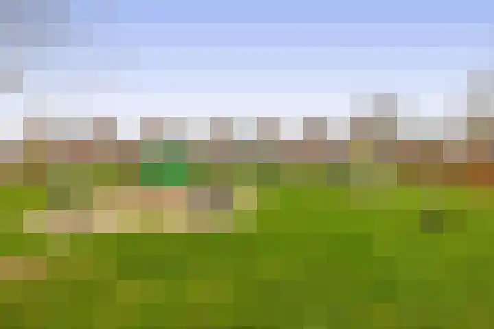 In het Veld 37 Venlo thumbnail 28