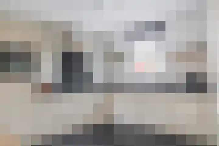 In het Veld 37 Venlo thumbnail 7