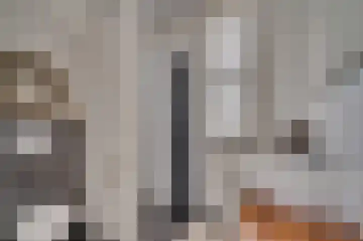 In het Veld 41 Venlo thumbnail 26