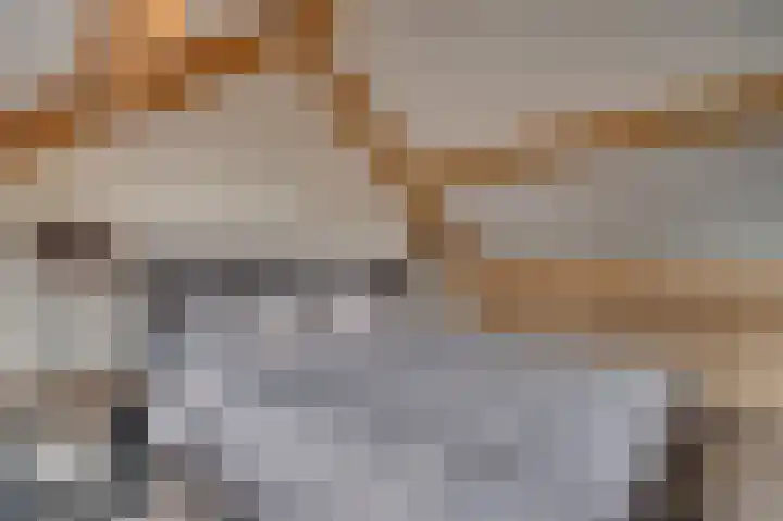 In het Veld 41 Venlo thumbnail 31