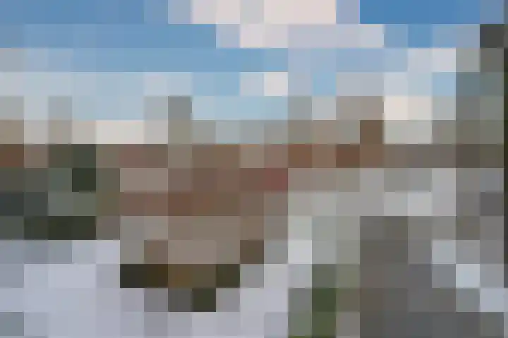 In het Veld 41 Venlo thumbnail 43