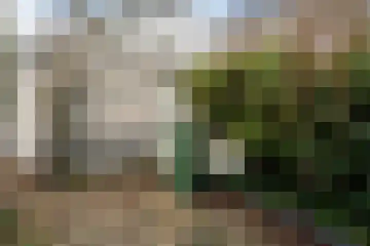 Indigoblauw 2 Zoetermeer thumbnail 17