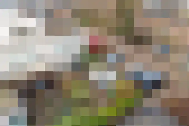 Indigoblauw 2 Zoetermeer thumbnail 18