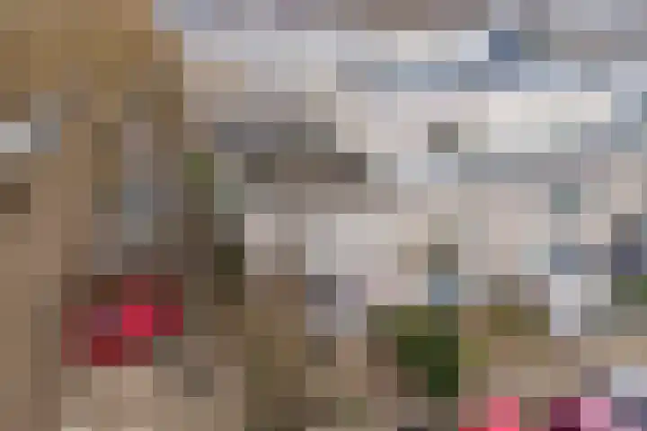 Indigoblauw 2 Zoetermeer thumbnail 35
