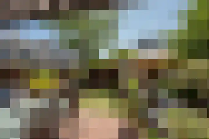 Indigoblauw 49 Zoetermeer thumbnail 10