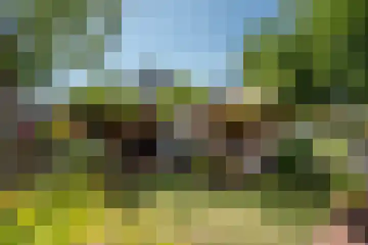 Indigoblauw 49 Zoetermeer thumbnail 11