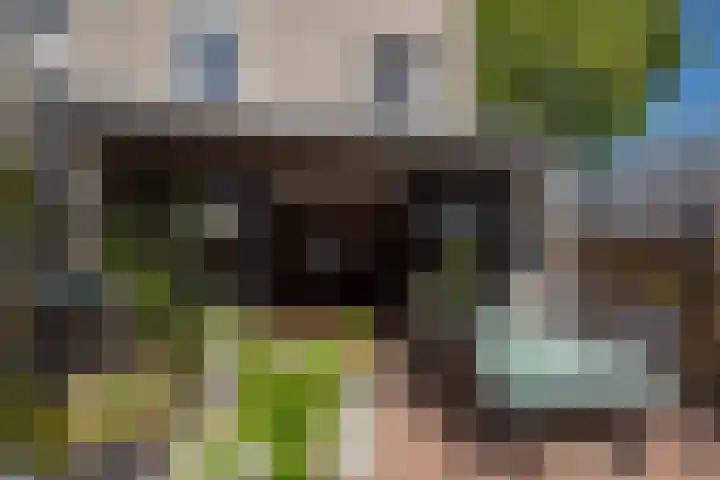Indigoblauw 49 Zoetermeer thumbnail 13