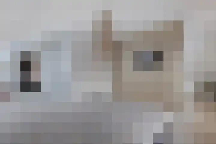 Indigoblauw 49 Zoetermeer thumbnail 16