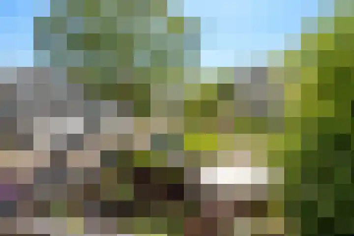 Indigoblauw 49 Zoetermeer thumbnail 23