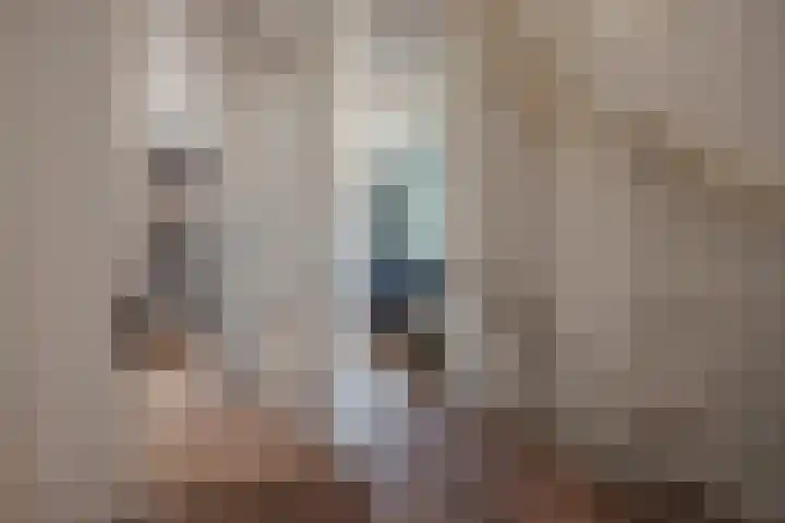 Indigoblauw 49 Zoetermeer thumbnail 26