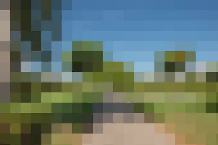 Indigoblauw 49 Zoetermeer thumbnail 34