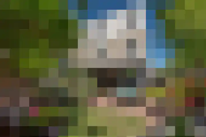 Indigoblauw 49 Zoetermeer thumbnail 4