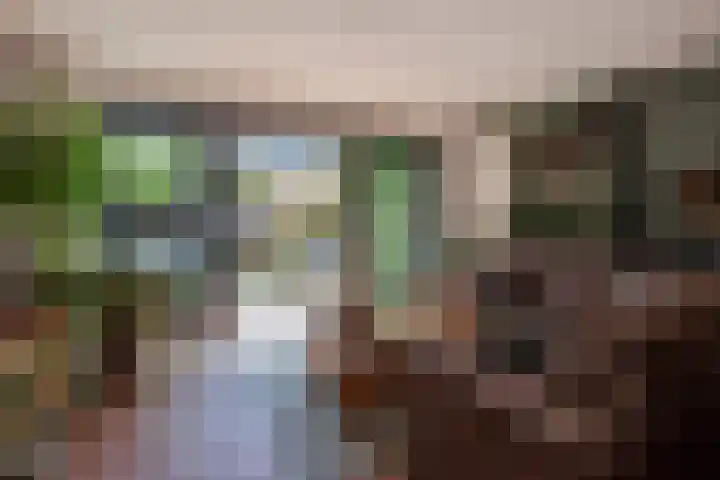 Indigoblauw 49 Zoetermeer thumbnail 8