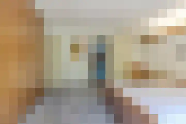 Indigolaan 2 Tilburg thumbnail 19
