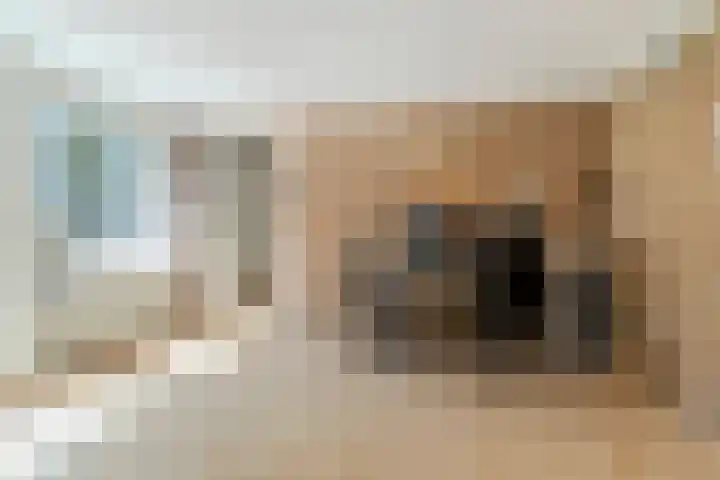 Indigolaan 2 Tilburg thumbnail 42