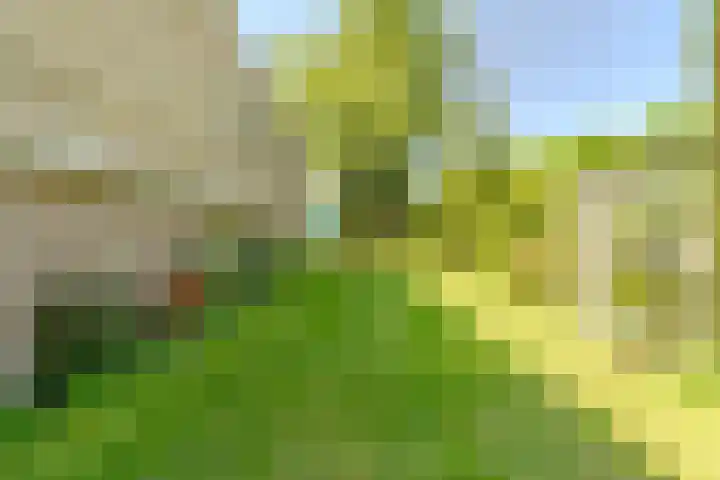 Indigolaan 2 Tilburg thumbnail 53