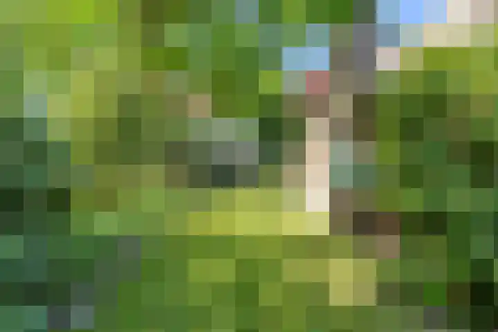 Indigolaan 2 Tilburg thumbnail 56