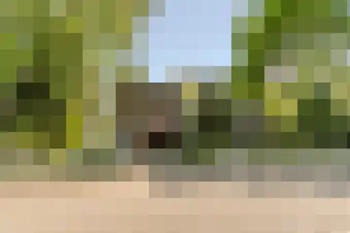 Indigolaan 2 Tilburg thumbnail 57