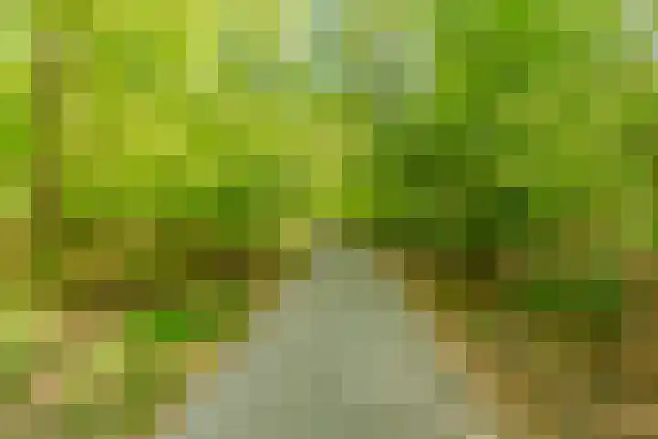 Indigolaan 2 Tilburg thumbnail 61