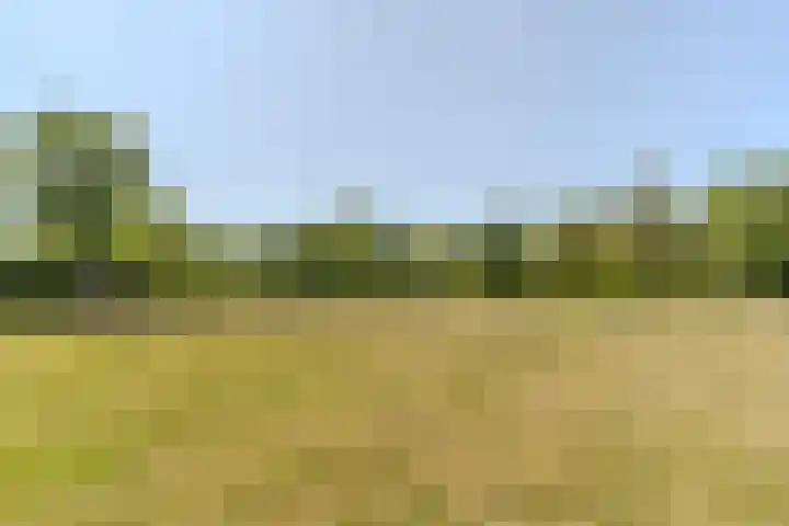 Indigolaan 2 Tilburg thumbnail 64