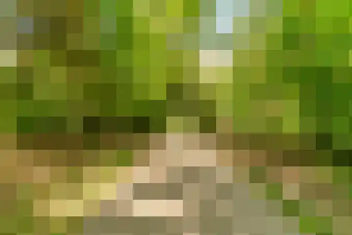 Indigolaan 2 Tilburg thumbnail 67