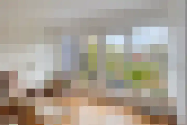 Indijk 9 Harmelen thumbnail 10