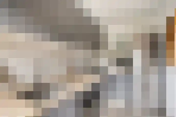 Indijk 9 Harmelen thumbnail 12