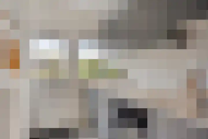 Indijk 9 Harmelen thumbnail 13
