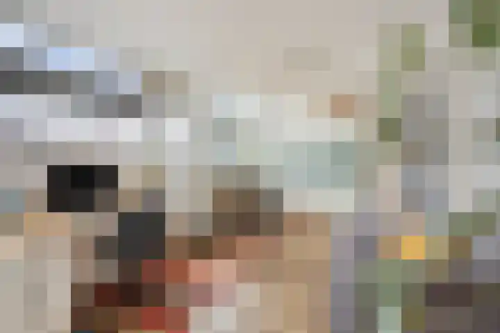 Indijk 9 Harmelen thumbnail 17