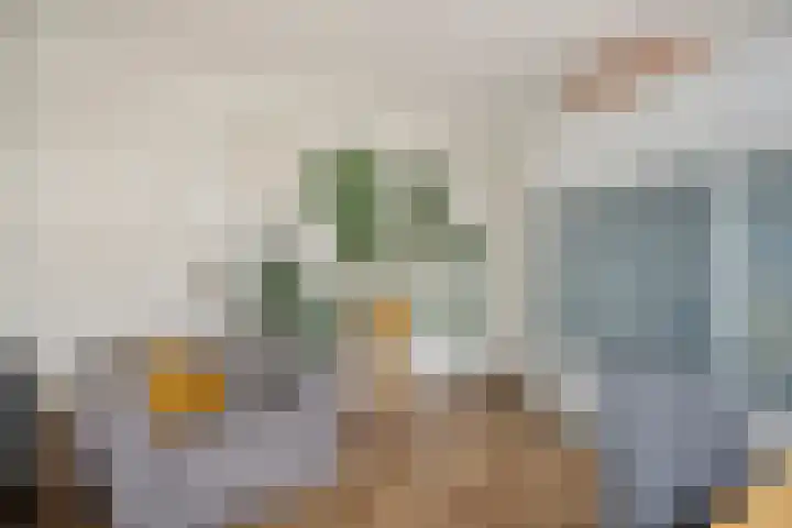 Indijk 9 Harmelen thumbnail 18