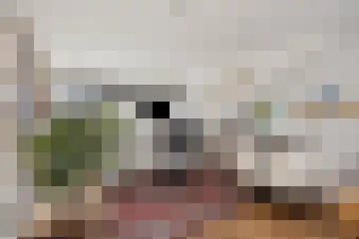 Indijk 9 Harmelen thumbnail 23