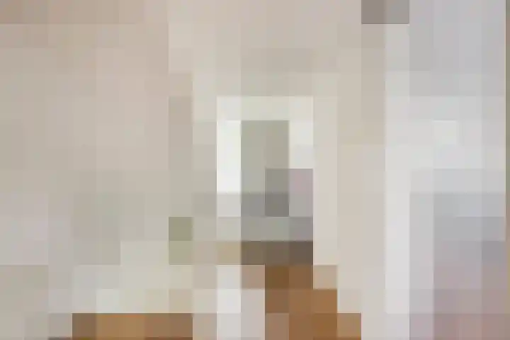 Indijk 9 Harmelen thumbnail 25