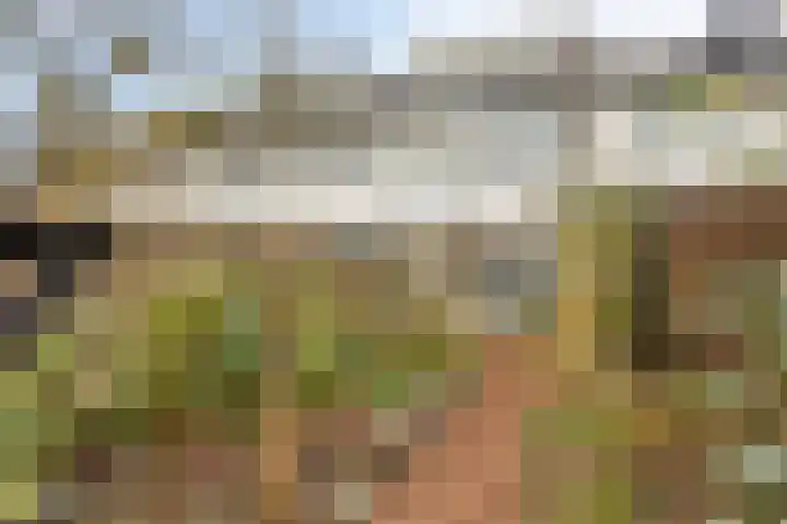 Indijk 9 Harmelen thumbnail 26