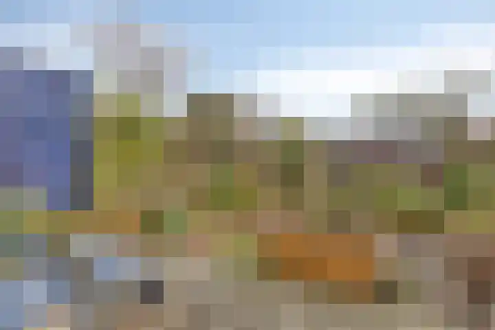 Indijk 9 Harmelen thumbnail 27