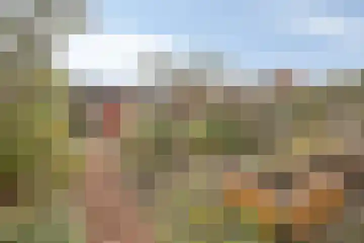 Indijk 9 Harmelen thumbnail 28