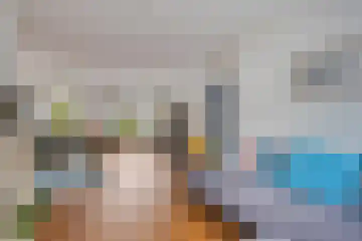 Indijk 9 Harmelen thumbnail 8
