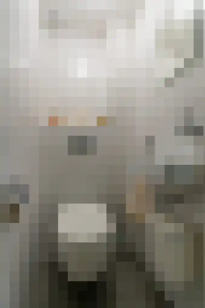 Indusdreef 28 Utrecht thumbnail 10