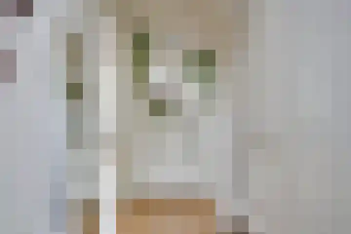 Indusdreef 28 Utrecht thumbnail 11