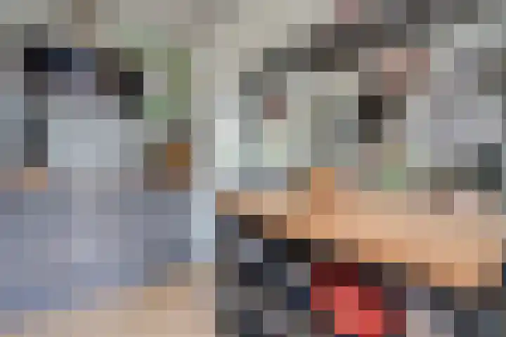 Indusdreef 28 Utrecht thumbnail 19
