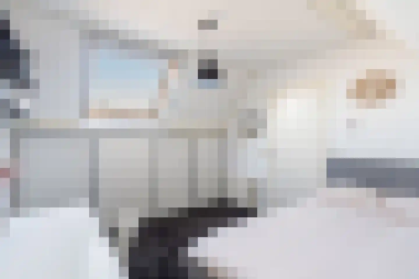 Indusdreef 28 Utrecht thumbnail 20