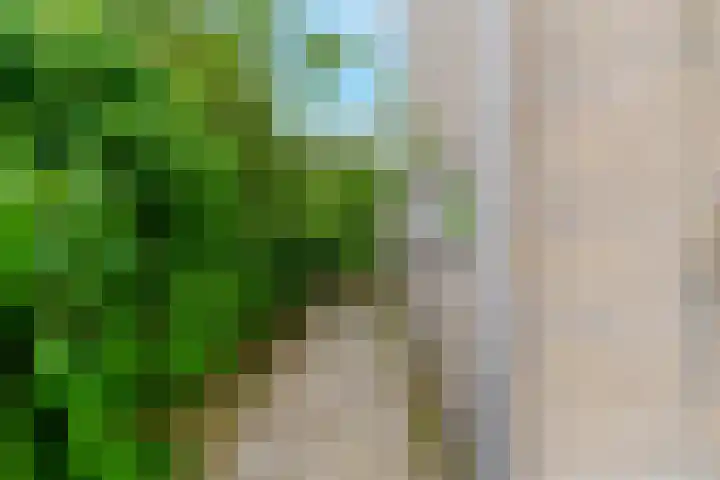 Indusdreef 28 Utrecht thumbnail 23