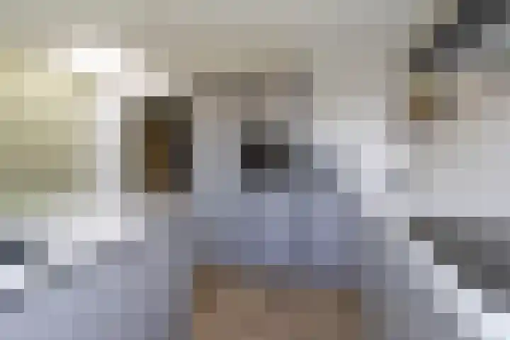Industrieweg 4 Stramproy thumbnail 13