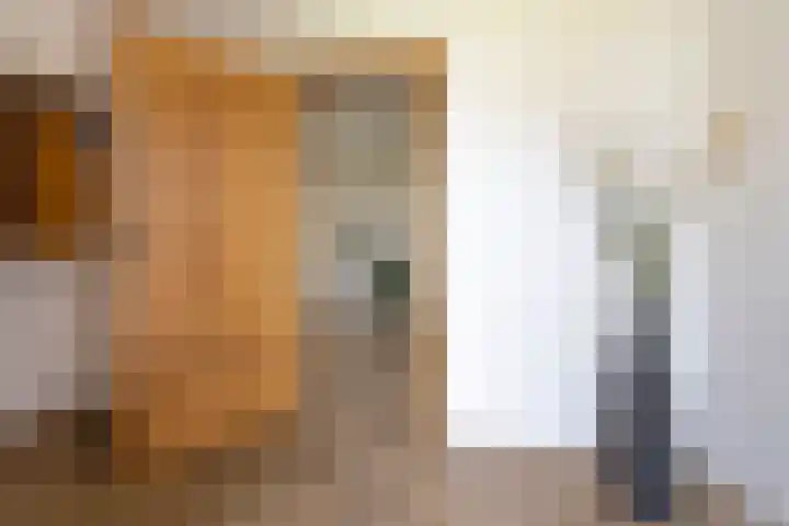 Industrieweg 4 Stramproy thumbnail 5