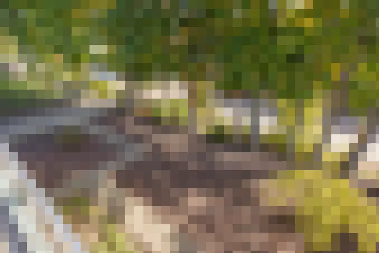Industrieweg 5 Drunen thumbnail 30